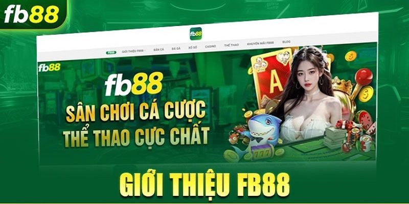 FB88 - Nhà cái trực tuyến với nhiều khuyến mãi đỉnh cao