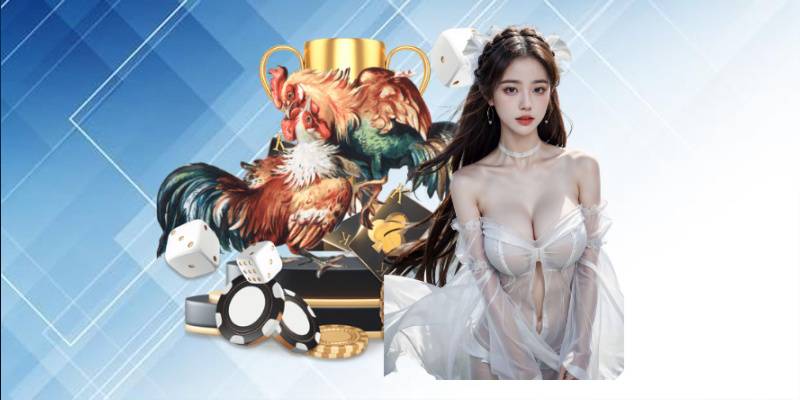 Cân nhắc tiêu chí đánh giá sân chơi đá gà online uy tín